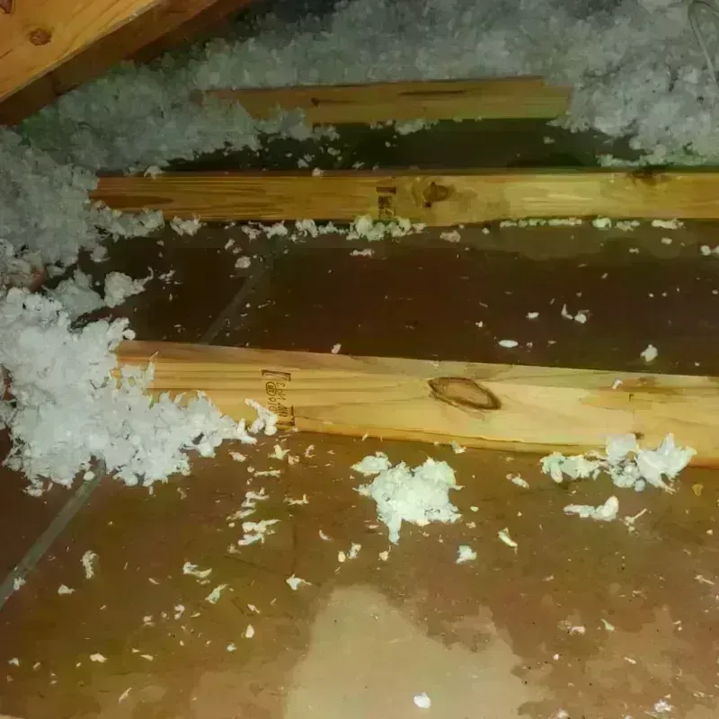 Attic Water Damage in Box Elder County, UT